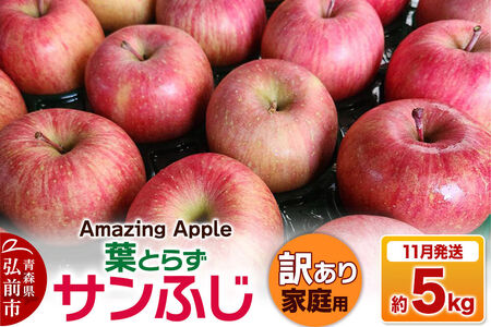 【26年11月下旬発送】りんご 葉とらずサンふじ【訳あり】家庭用 約5kg 先行受付
