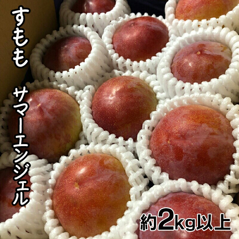 【ふるさと納税】 【2025年発送先行予約】すもも　サマーエンジェル「夏の天使」約2kg以上 ふるさと納税 すもも サマーエンジェル プラム 果物 フルーツ おすすめ 山梨県 南アルプス市 送料無料 ALPCZ009