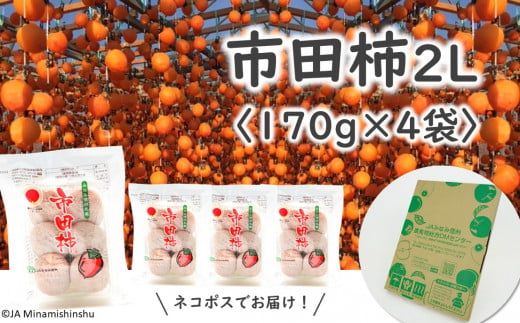 JA38-24A 市田柿 大粒2Lサイズ 170g×4袋／2025年1月中旬～2月上旬ごろ配送 長野県 南信州 干し柿 市田柿 大粒 2Lサイズ 贈答 高糖度 高品質