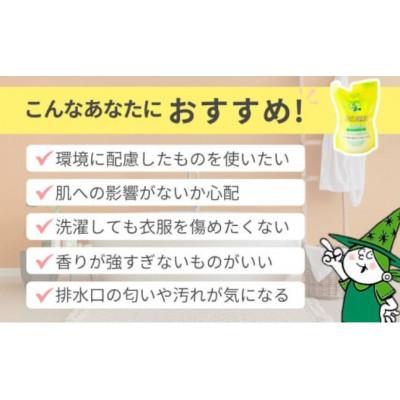 ふるさと納税 龍ケ崎市 天然オイルの為香害対策へ　緑の魔女ソフナー500ml(詰め替え用)×20袋セット |  | 02