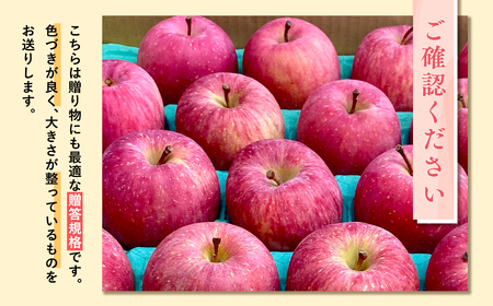 【令和7年産受付】贈答用 樹上完熟ぐんま名月約2㎏【青森県平川市産・青森りんご】