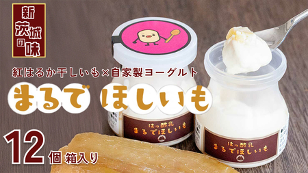 筑波ハム 『 まるで ほしいも 』 100g × 12個 ( ほしいもクン 特製 化粧箱 入り )( 茨城県共通返礼品 ) 自家製 ヨーグルト 紅はるか べにはるか 干し芋 干しいも デザート おやつ スイーツ [EN043sa]