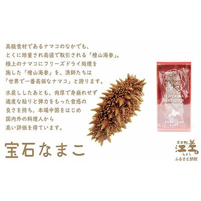 ふるさと納税 江差町 【檜山ブランド】フリーズドライなまこ[檜山海参]製品(2本) |  | 01