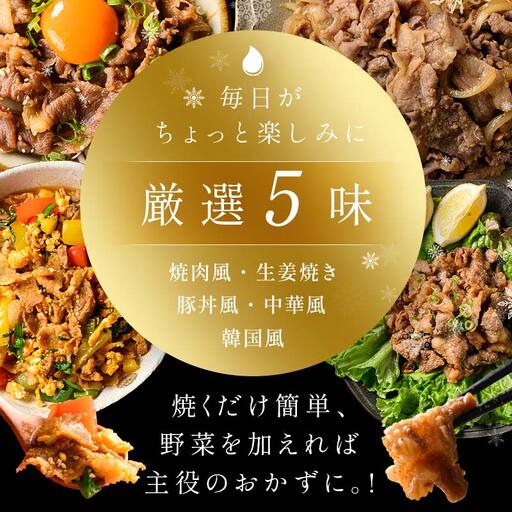 【訳あり】北の凍れ豚 味付き5味セット 300g×5P 生姜焼き 焼肉味 韓国風 中華風 豚丼味 北海道産 豚肉 レトルト 冷凍 おかず 惣菜 加工品 食品 お肉 北海道十勝更別村  F21P-139