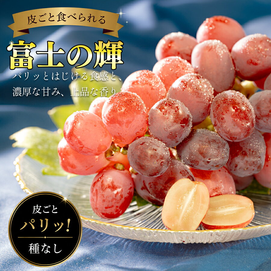 【ふるさと納税】 【2026年8月9月発送】 ぶどう 種なし 大粒 富士の輝 ( 600g 前後) 1房 葡萄 希少 種無し 高級 ブラックシャインマスカット グレープ 数量限定 期間限定 季節限定 先行予約 果物 くだもの フルーツ ギフト 贈答 新鮮 たねなし 松田ぶどう園 高知 大月町