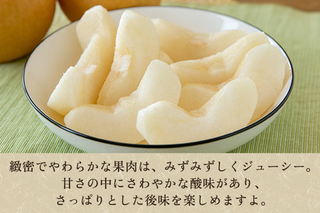 【2026年先行予約】【家庭用】和梨 新興 3kg（5～6玉）《10月中旬～順次出荷》 しんこうなし 果物 フルール ナシ 新潟産 加茂市 入江果樹園 