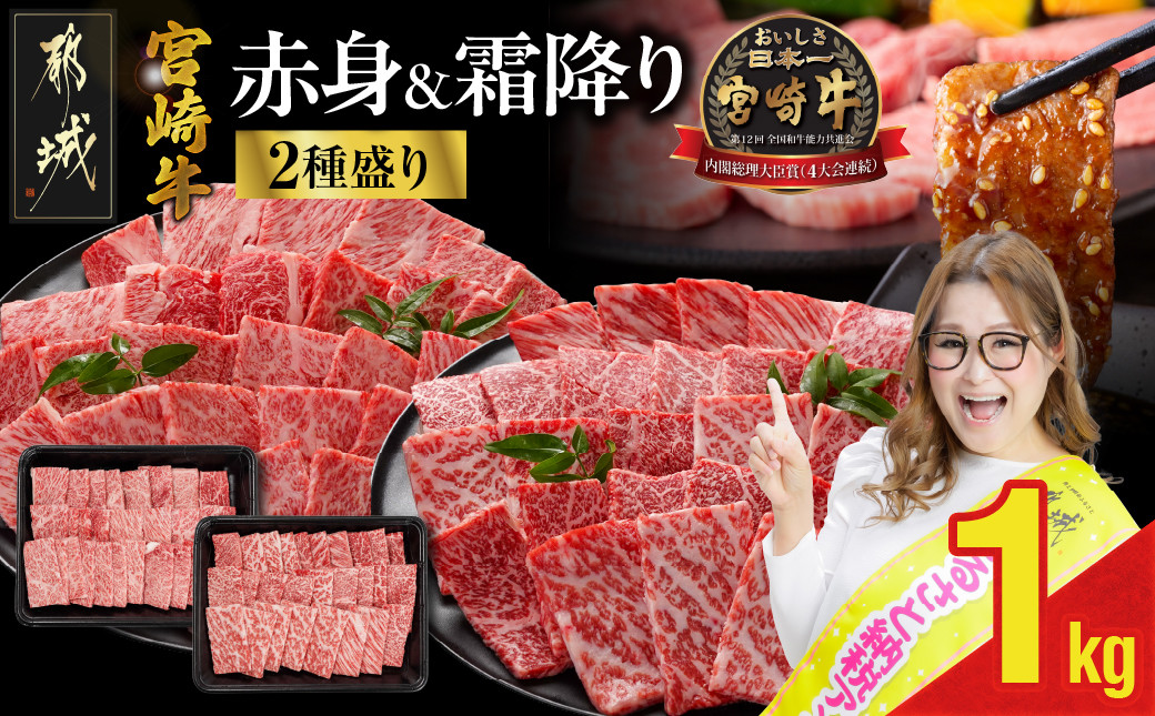 
            宮崎牛焼肉2種セット500g×2パック_16-N202_(都城市)   ギャル曽根さんおすすめの牛肉返礼品
          