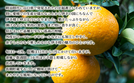 先行予約 ＜無茶々園の伊予柑 約3kg＞ 果物 いよかん イヨカン みかん ミカン 蜜柑 柑橘 フルーツ 選べる内容量 期間限定 季節限定 特産品 愛媛県 西予市【常温】『2027年1月中旬～2月中旬