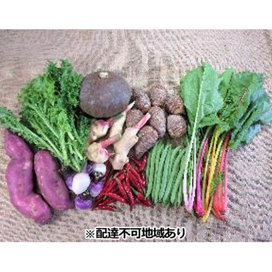 旬の野菜【M】セット【配達不可：北海道・沖縄・離島】