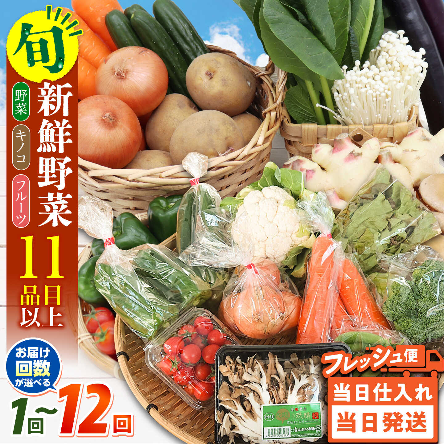 【ふるさと納税】野菜 キノコ 果物 11品目 詰め合わせ お届け / 12回定期便 6回定期便 3回定期便 野菜セット やさい 春野菜 夏野菜 秋野菜 冬野菜 旬 / 南島原市 / 吉岡青果 [SCZ007]