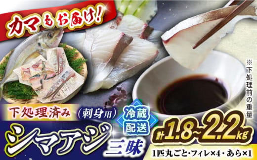 【下処理済み】 シマアジ 堪能6点セット＜大島水産種苗＞ [CBW012] 長崎 西海 シマアジ アジ 鯵 魚 刺身 ブロック 贈答 ギフト