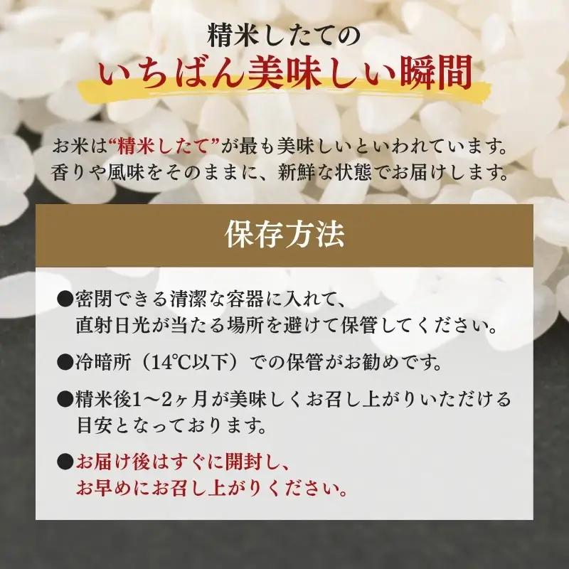 【12月中旬より配送】 新之助 2kg  6か月定期便 新潟県 上越市産 令和8年産 お米 精米 米 ご飯 送料無料