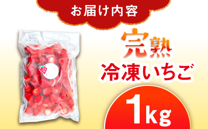 冷凍いちご 1kg / 苺 いちご イチゴ 冷凍 冷凍イチゴ 冷凍苺 / 恵那市 クリエイティブファーマーズ [AUAH023]