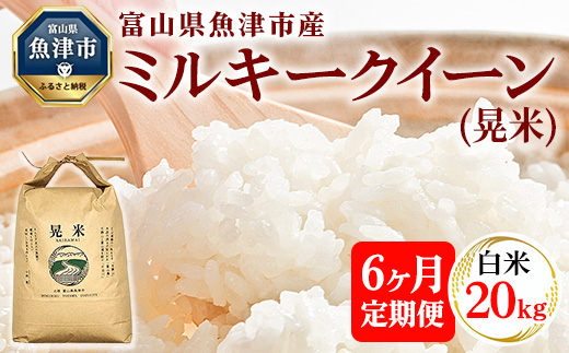 【6ヶ月定期便】【令和6年度米】「魚津のミルキークイーン（晃米）」20kg（白米） ｜ 環境配慮 MK農産 お米 ブランド米 銘柄米 精米 ご飯 おにぎり 産地直送 甘み 粘り もちもち ※2024年
