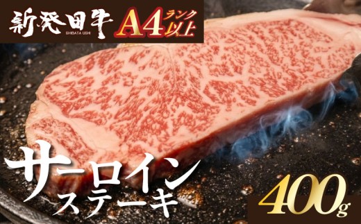 【新潟の宝】サーロイン ステーキ 牛肉 400g にいがた和牛 和牛 新発田牛 赤身 焼肉 ふるさと納税 和牛 BBQ バーベキュー キャンプ 特選 贅沢 厳選和牛 ブランド牛 ギフト 贈答 お歳暮 父の日 新潟 新潟県 新潟産 新発田 新発田市 新発田産 えのもとミート