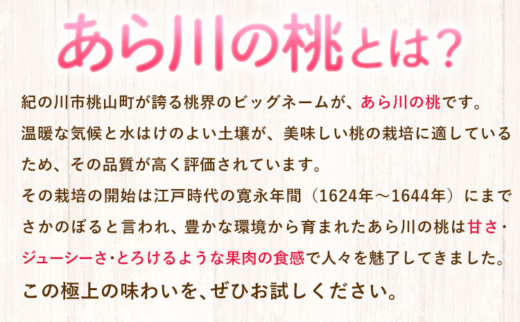 【先行予約】和歌山産あら川の桃　約4kg （12玉〜16玉） 秀品 前商店《6月末-7月中旬頃出荷》 和歌山県 紀の川市