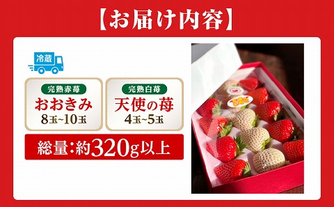 《2025年発送》【期間・数量限定】宮崎完熟紅白苺12