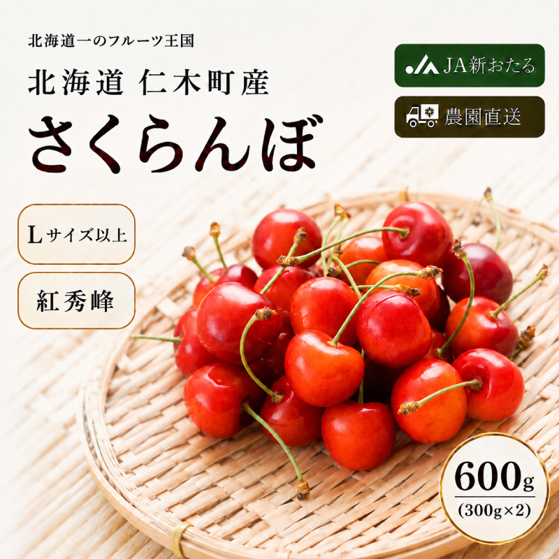 2027年発送 北海道 仁木町産  さくらんぼ 紅秀峰 600g（300g×2パック） 旬の果物 産地直送 サクランボ チェリー フルーツ 果物 果物類  北海道産 仁木町 仁木 [JA新おたる]