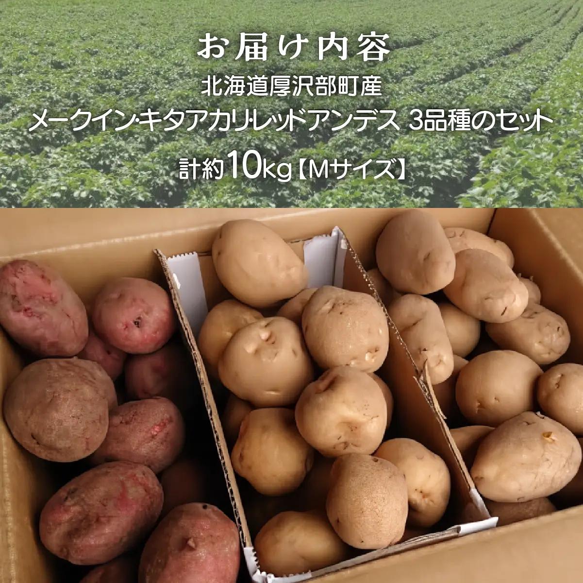 【2026年9月下旬より発送】北海道厚沢部町産 メークイン・キタアカリ・レッドアンデス 3品種のセット 計約10kg【Mサイズ】 ASO016