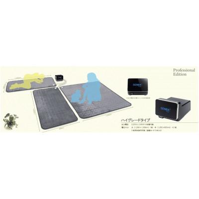 ふるさと納税 蓮田市 DENBA Health High-grade　デンバヘルスハイグレード |  | 02