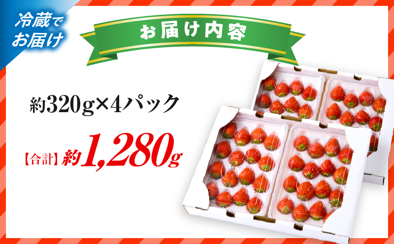 【先行予約】苺音エコノミー　～さぬきひめいちごがいっぱい～　約1,280g | おすすめ 人気 果実 果肉 果物 フルーツ デザート 贈り物 苺 さぬきひめ 贈答 ご褒美 ギフト 旬の果物 季節の果物 旬 季節 青果物 香川県 三木町  |_mk137-001