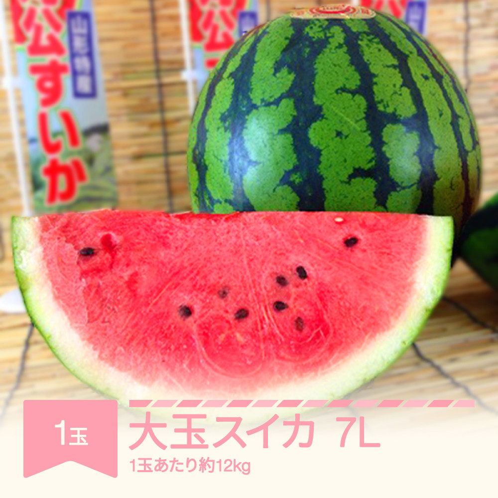 
                  すいか 大玉 7L×1玉入り 令和7年産 山形県村山市産 mk-suoox12
                