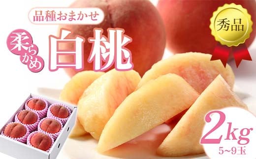 【先行予約（2026年8月下旬頃より順次発送）】柔らかめ白桃 約2kg（5玉～9玉）秀品 FSY-2533