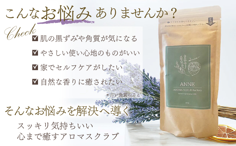 NAIL&MAKE BAR ANNE ボディスクラブ 1個 099H3616