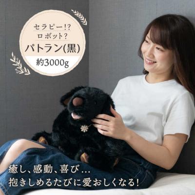 ふるさと納税 糸島市 パトランの黒(通称:クロラン)糸島市/科学工房未來[AYI002]