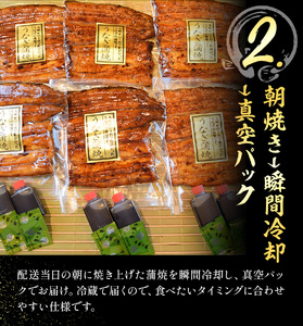 鰻 国産鰻蒲焼 2パック 約 120g ×2 有限会社安井家
