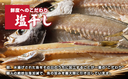 【干物6種】久屋商店 干物おつまみセット