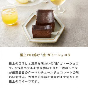 幸せの生ガトーショコラ ミニサイズ 3本セット