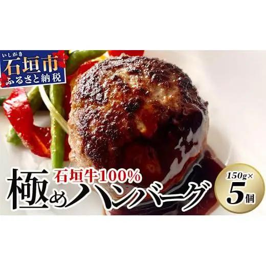 石垣牛 100% 極めハンバーグ 150g×5個  TM-5