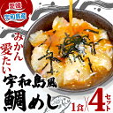 【ふるさと納税】 鯛めし 4食 セット みかん 鯛 宇和島鯛めし 南予ビージョイ 真鯛 鯛 マダイ タイ tai 刺身 お刺身 漬け丼 漬け 海鮮丼 郷土料理 鯛飯 海鮮 人気 海の幸 魚介 人気加工品 冷凍 小分け パック お手軽 便利 国産 愛媛 宇和島 D010-150004