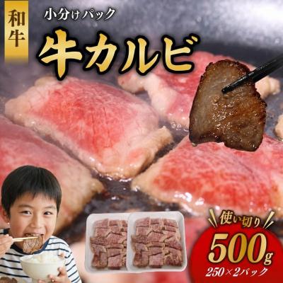 ふるさと納税 室戸市 国産 牛カルビ 500g 牛肉 焼肉
