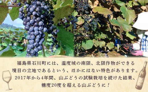 山葡萄ジュース500ｍｌ 山葡萄ワイン辛口720ｍｌセット