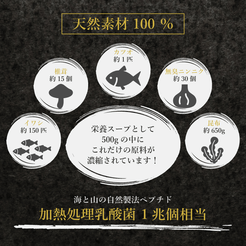 腸万能 だし 2袋 美トックス 乳酸菌 万能だし 粉末だし 下関 山口 2袋