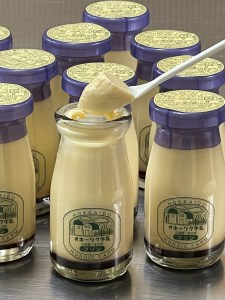 【10本】ノルディックファーム・オホーツク牛乳プリン (90ml×10本) ( ふるさと納税 牛乳プリン 濃厚 なめらか オホーツク牛乳 バニラビーンズ スイーツ 北海道 遠軽町 ノルディックファーム