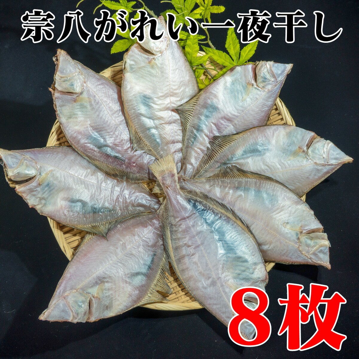 【ふるさと納税】北海道産 宗八がれい （中） 一夜干し 8枚 【 かれい カレイ 海鮮 魚介類 魚介 魚貝 魚卵 業務用 家庭用 贈答用 人気 ランキング 北海道グルメ 北海道 グルメ ごはんのお供 白米 セット 】