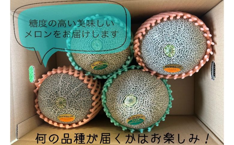 【先行予約】令和7年 おまかせメロン（品種：タカミメロン・ホノカメロン・優香メロン） 2～5玉（約5kg）｜ 数量限定 セレクトグリーン ロイヤルレッドメロン ジューシー 香り フルーツ 果物 ※20