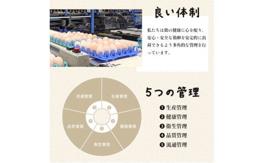 【定期便】隔週/２４回 卵 合計960個 無選別 MS〜LL 京の贈り物 20個×2パック×24回 120,000円