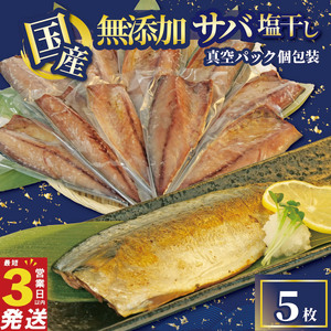サバ 塩干し 干物 5枚 国産 無添加 サバ