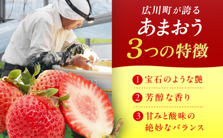 【2回定期便】 あまおうG等級 2ケース（270g×4パック） 広川町 / JAふくおか八女農産物直売所どろや[AFAB084]
