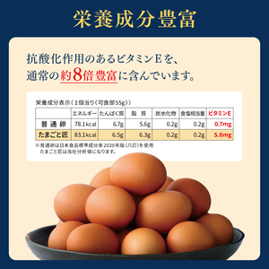 たまご 【たまごと匠】 赤玉40粒（2箱） | 熊本県 熊本 くまもと 和水町 なごみ 卵 タマゴ 赤玉 20粒 2箱 40粒 TKG