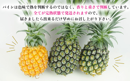 2024年発送【数量限定】ひとくちぼれ　金武町のすぐりむん（極上）パイン　3玉