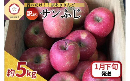【2026年1月下旬発送】 【訳あり】 りんご サンふじ 5kg 青森