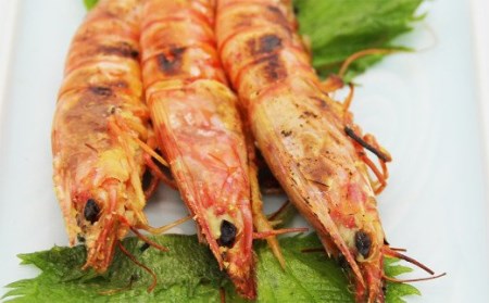 車海老 車海老の味噌漬け【ニンニク】（中～大サイズ）計500g（250g×2）戸馳島産車海老 宇城市産車海老 熊本県産車海老 国産車海老 特殊冷凍車海老
