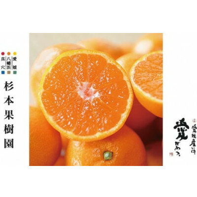 【ふるさと納税】【2025年12月以降発送】〈特選〉真穴、杉本果樹園の八寿みかん(南柑20号)5kg【D34-23】_ みかん ミカン 柑橘 フルーツ くだもの 果物 ふるーつ 青果 果実 甘い ジューシー 産直 産地直送 旬 【1510694】