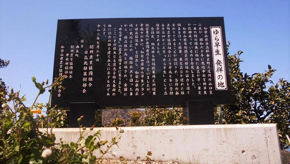 【先行予約】和歌山由良町産 由良早生みかん 約10kg 訳あり キズ 御家庭用 サイズ混合【SL4】