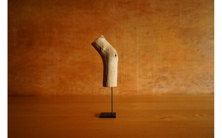 【相良パーティ】屋久島の流木【小サイズ】